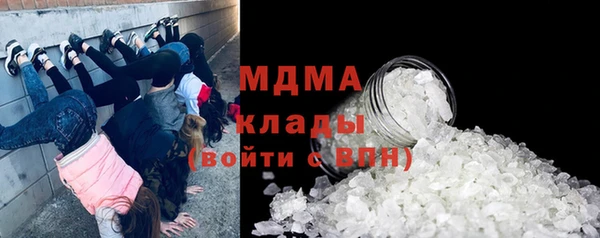 СК Пересвет