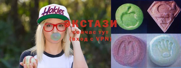 СК Пересвет