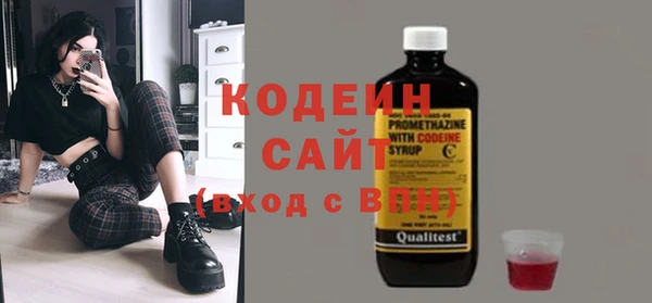 СК Пересвет