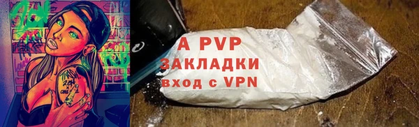 СК Пересвет