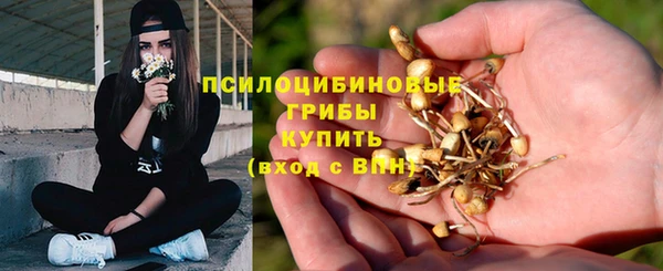 экстази Пестово