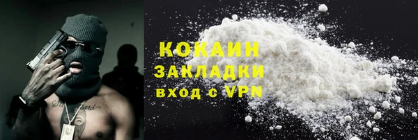 СК Пересвет