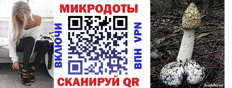 сколько стоит  Усолье  Псилоцибиновые грибы Cubensis 